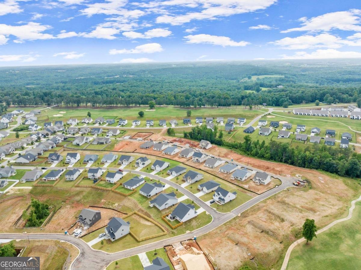 146 Muscadine Pass Homer - Photo 53