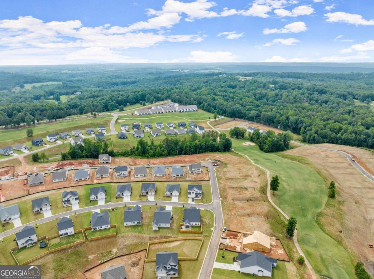 146 Muscadine Pass Homer - Photo 54