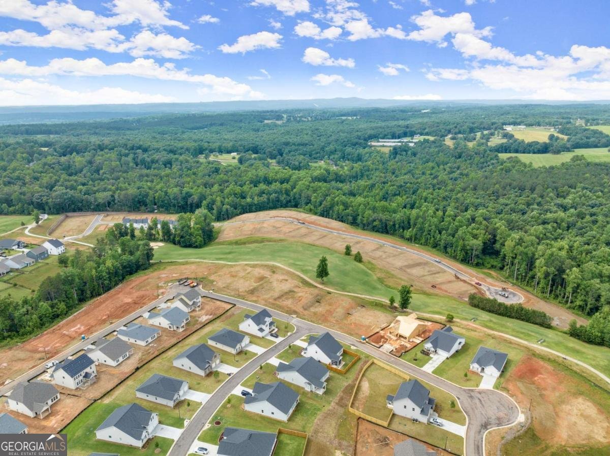 146 Muscadine Pass Homer - Photo 55