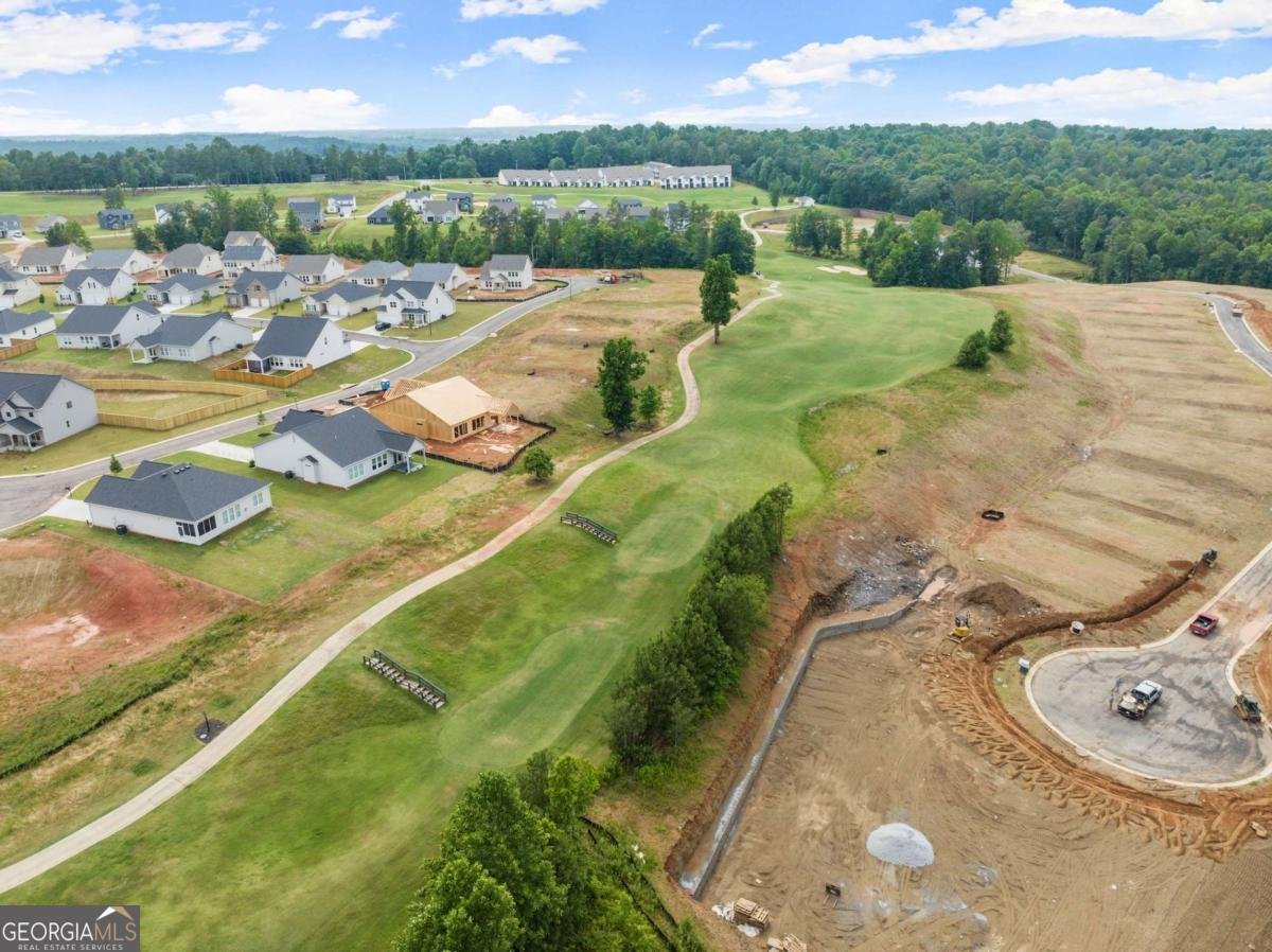 146 Muscadine Pass Homer - Photo 56