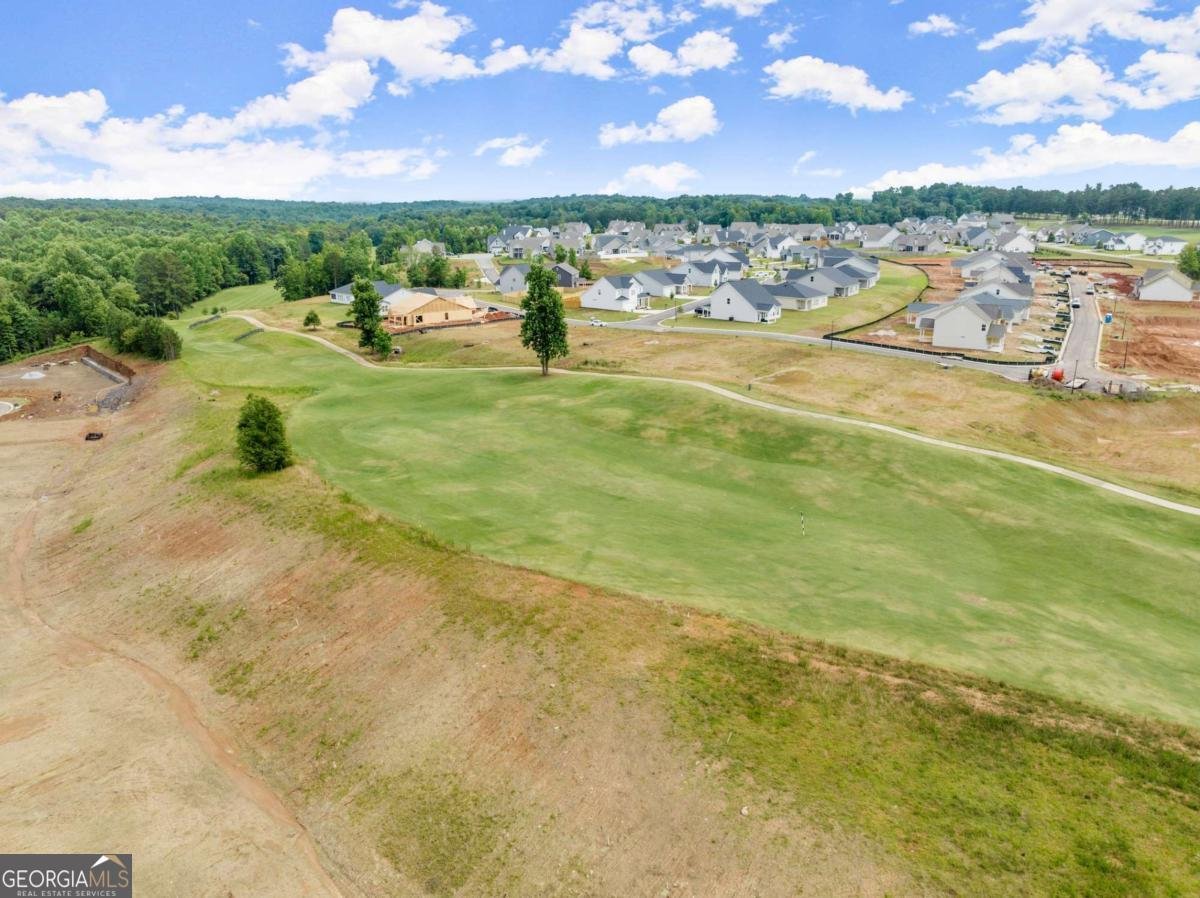 146 Muscadine Pass Homer - Photo 57