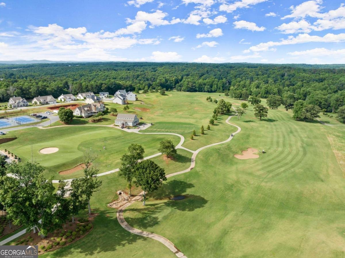 146 Muscadine Pass Homer - Photo 63