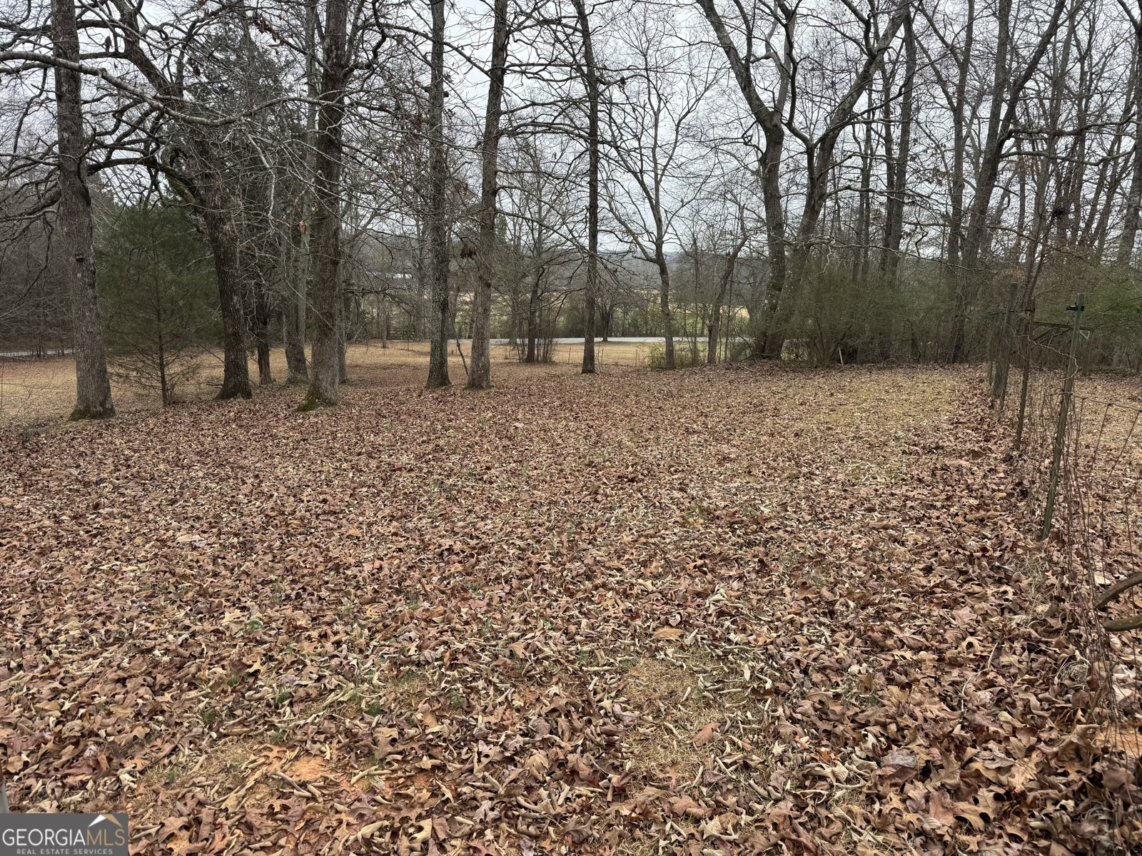 824 Old Five Notch Road Whitesburg - Photo 8