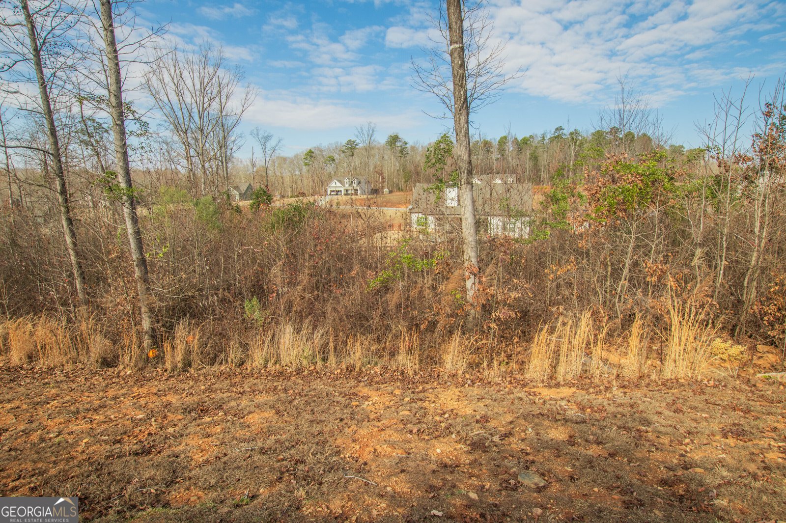 148 Chestnut Trail Commerce - Photo 37