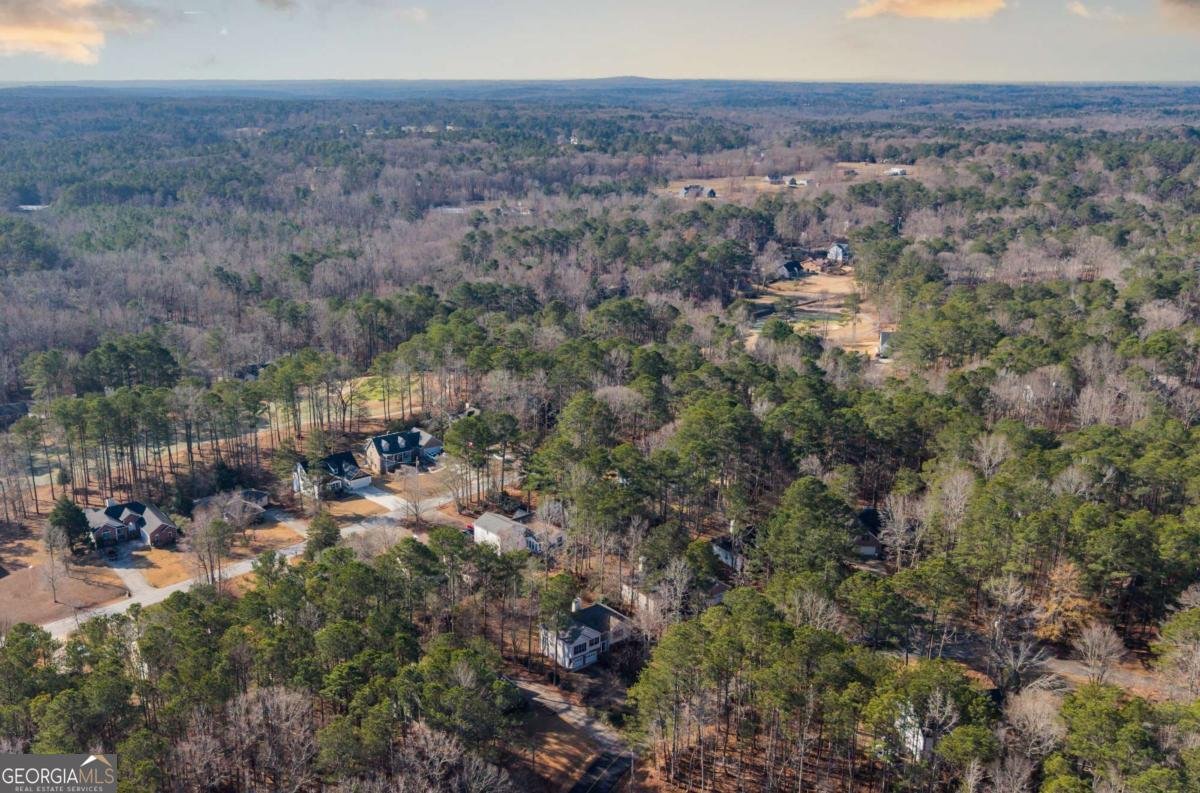 4135 Argonne Drive Villa Rica - Photo 51