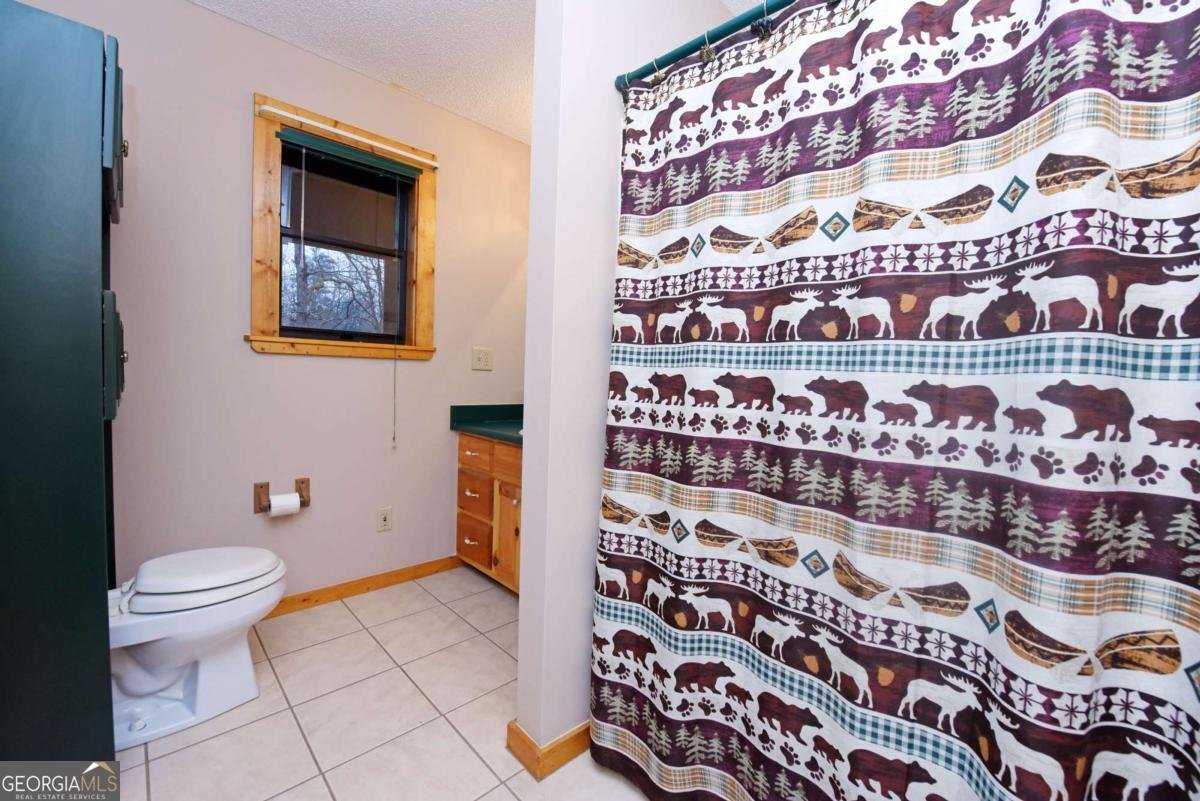 378 Northwoods Circle Blairsville - Photo 9