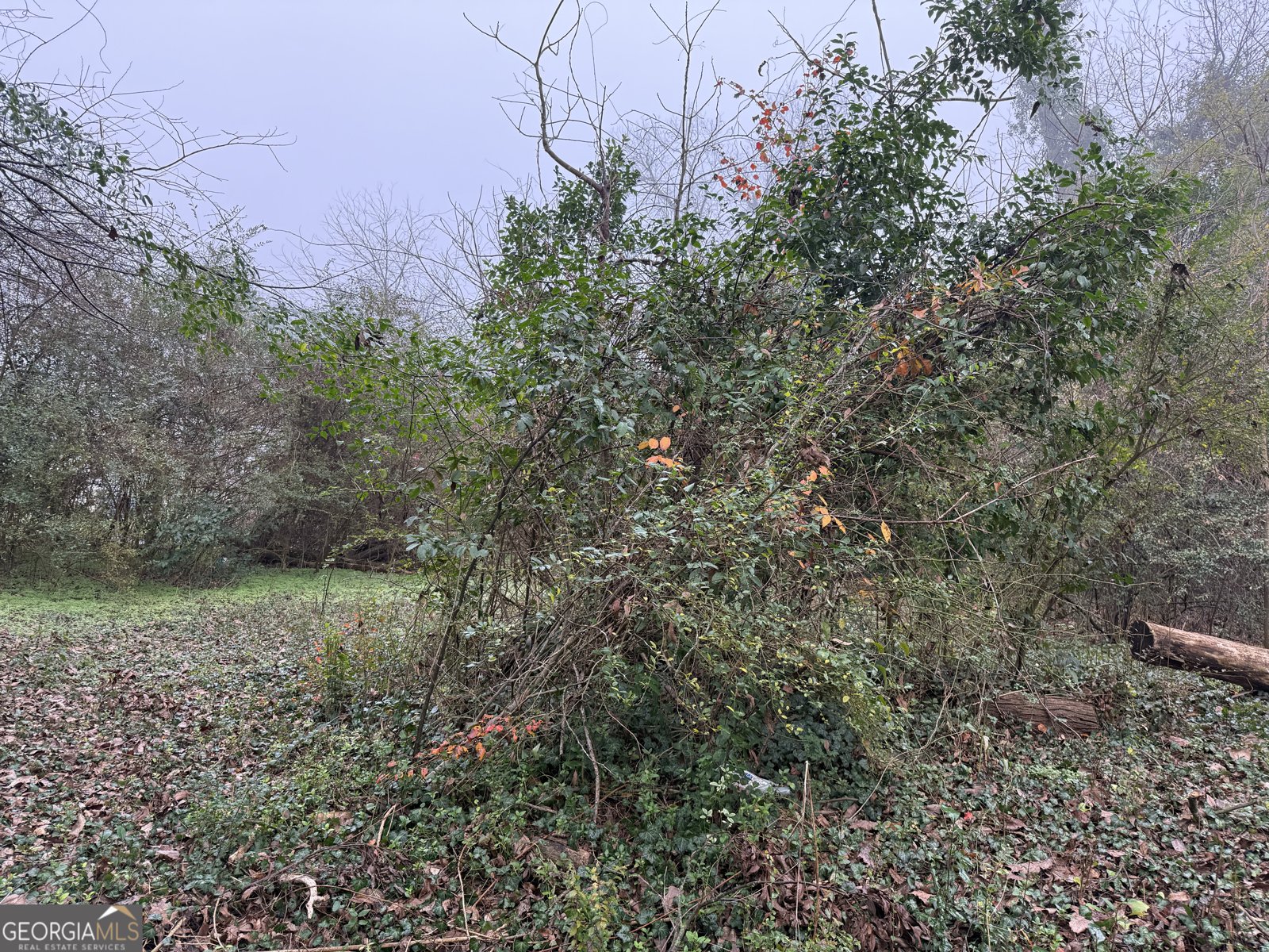 628 M L King Street Greenville - Photo 15