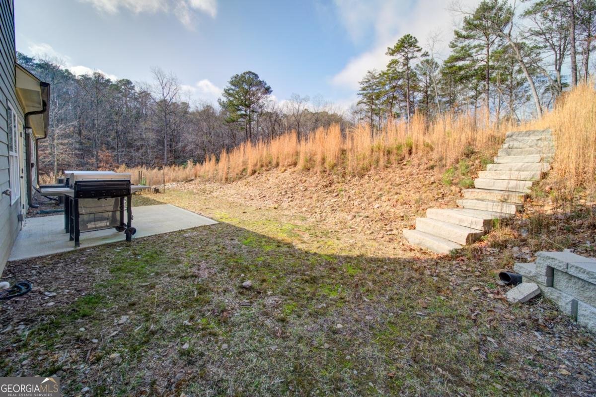 170 White Antelope Street Waleska - Photo 33