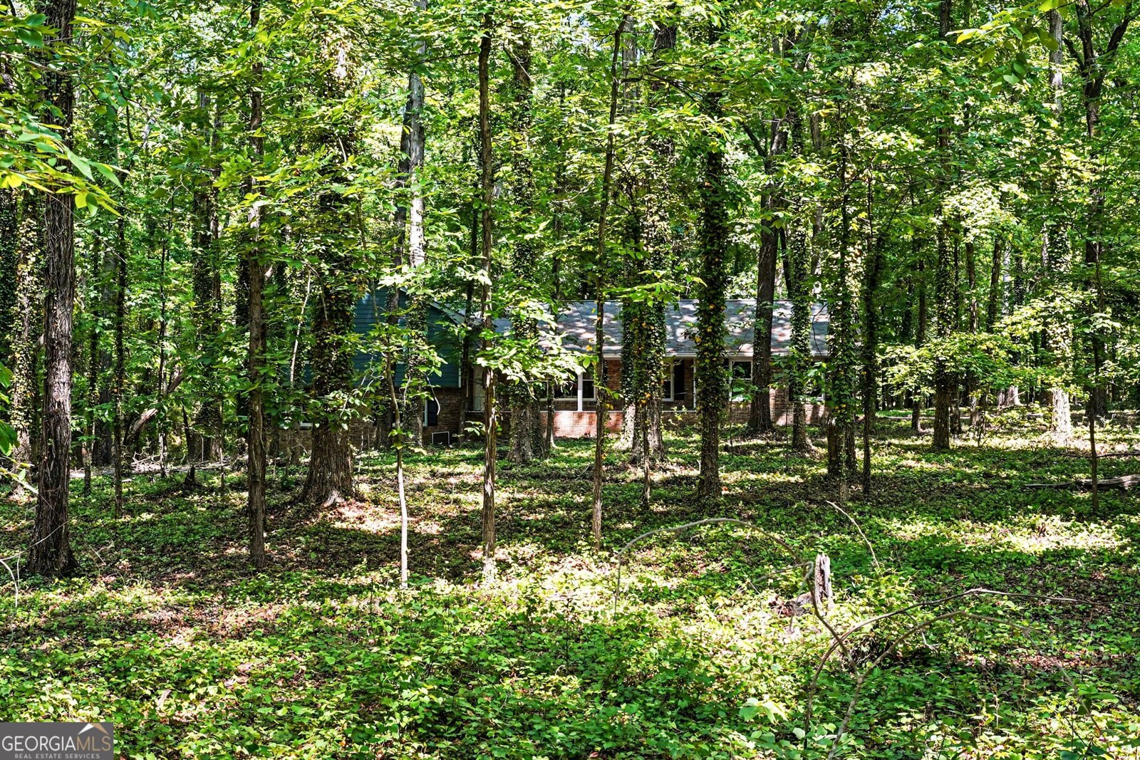 1050 Skyline Drive Covington - Photo 34