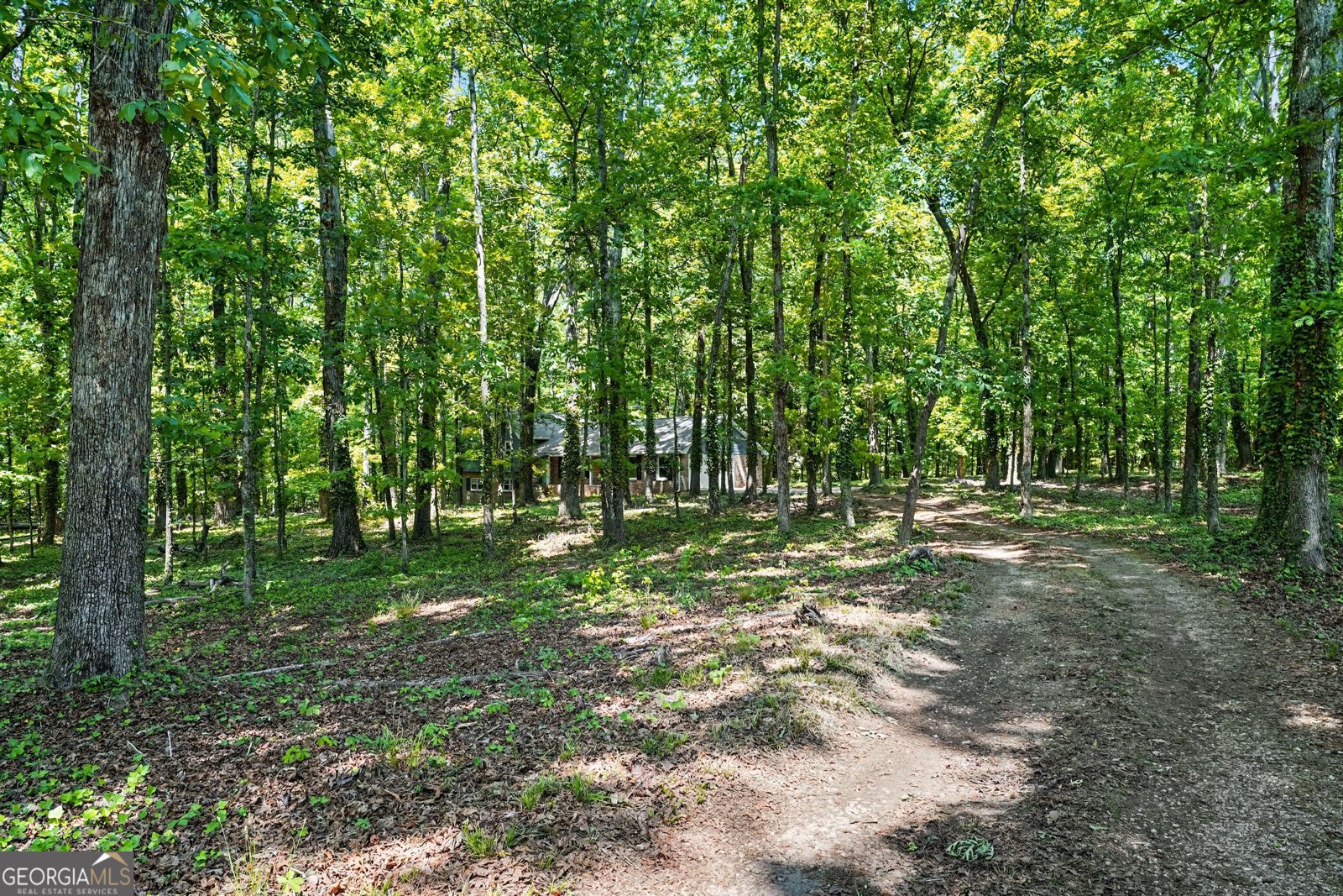 1050 Skyline Drive Covington - Photo 35