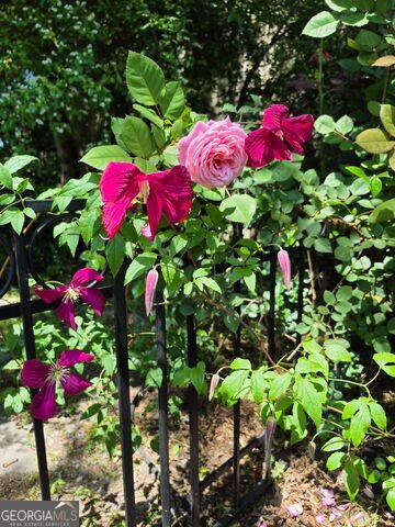 145 Carolina Avenue Macon - Photo 19