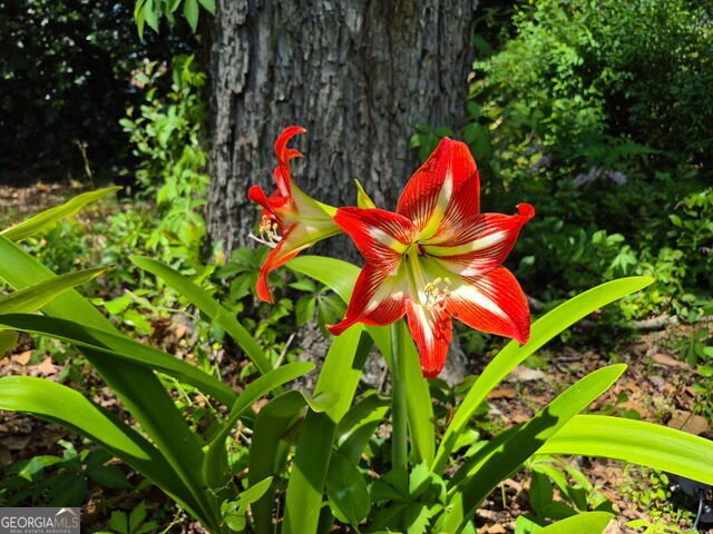 145 Carolina Avenue Macon - Photo 20