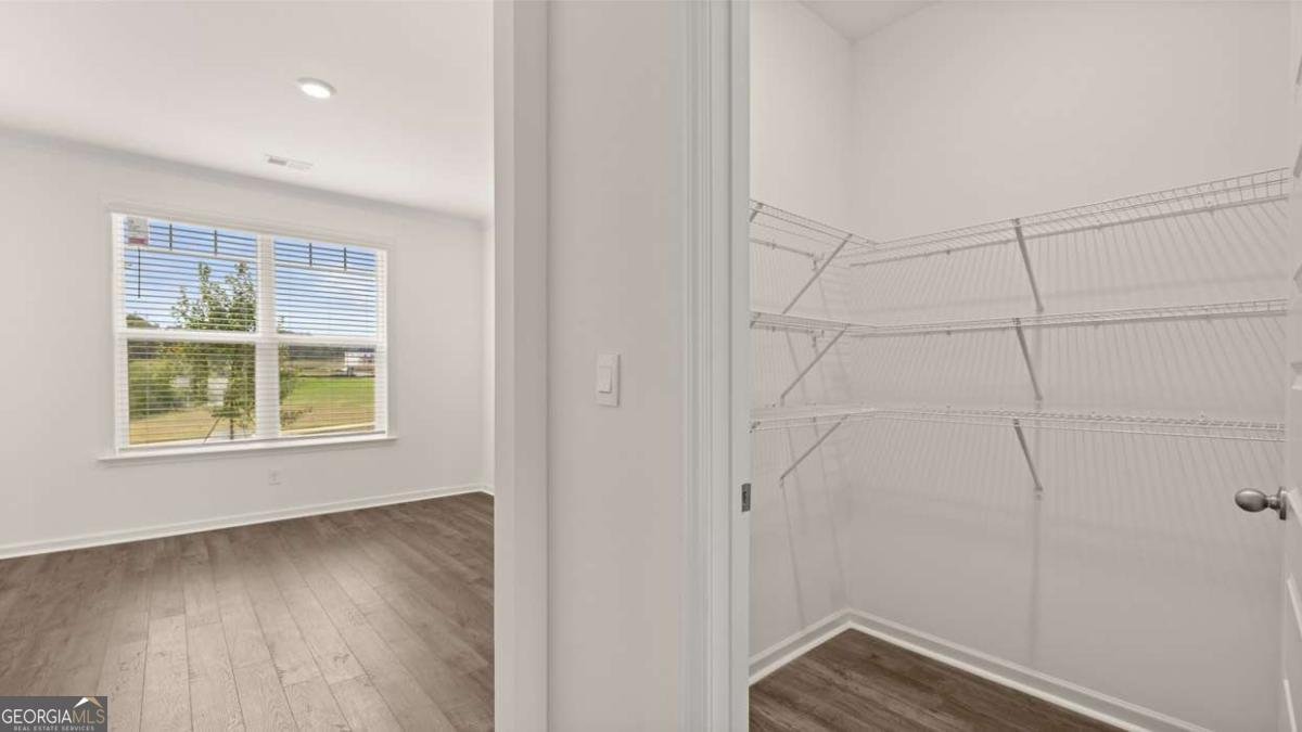 2898 Eucalyptus Road Loganville - Photo 22