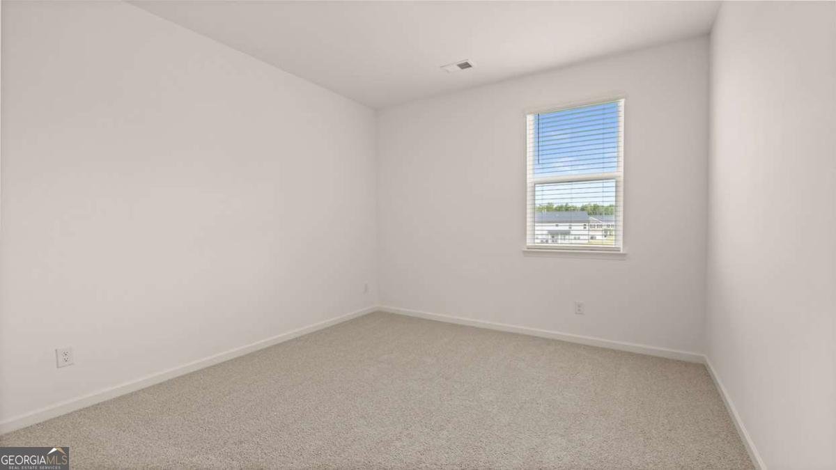 2898 Eucalyptus Road Loganville - Photo 28