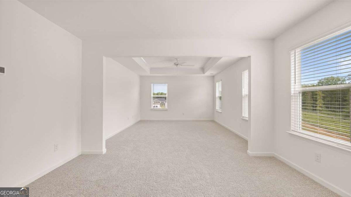 2898 Eucalyptus Road Loganville - Photo 32