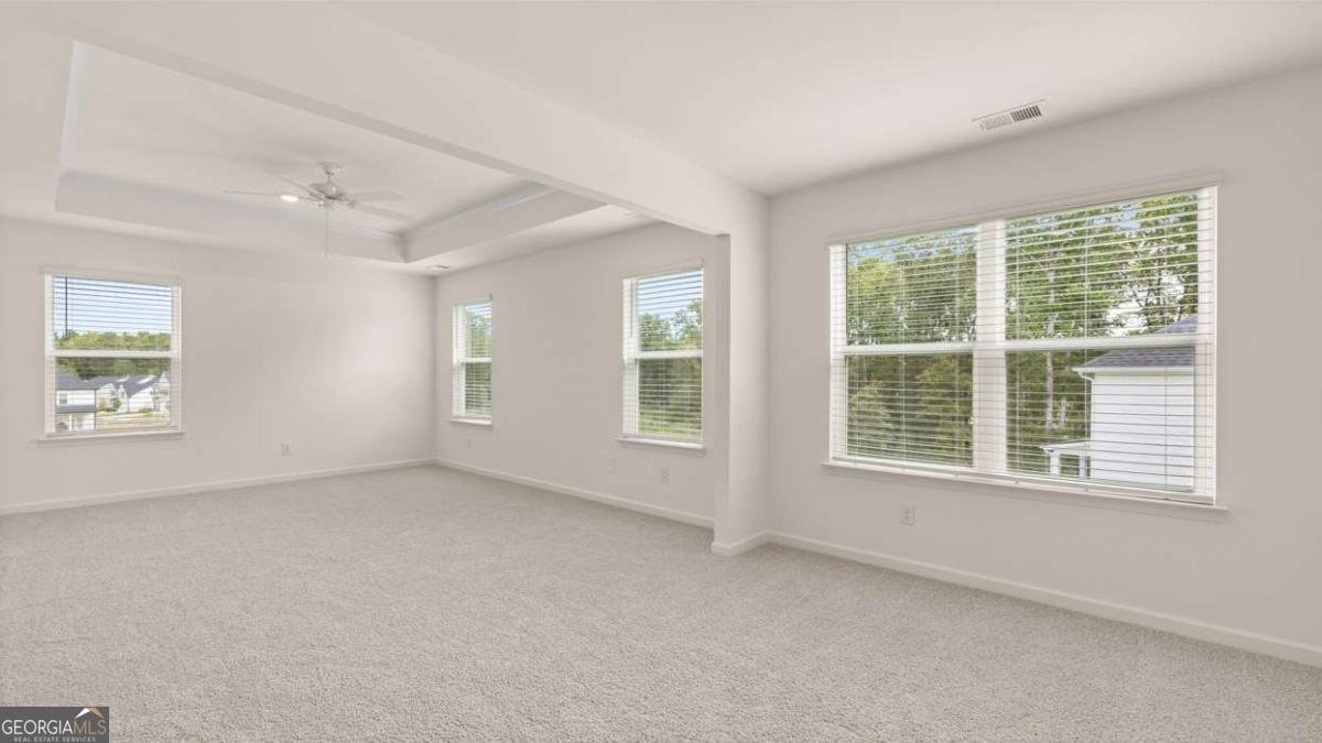 2898 Eucalyptus Road Loganville - Photo 33