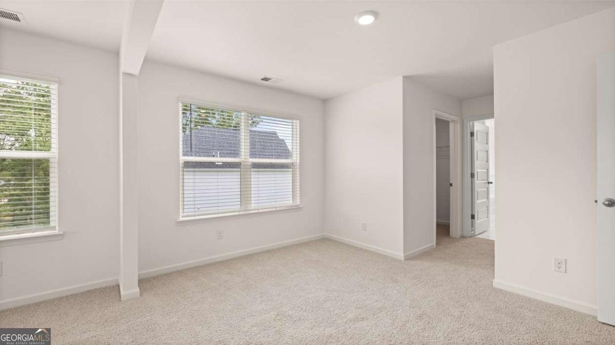 2898 Eucalyptus Road Loganville - Photo 34