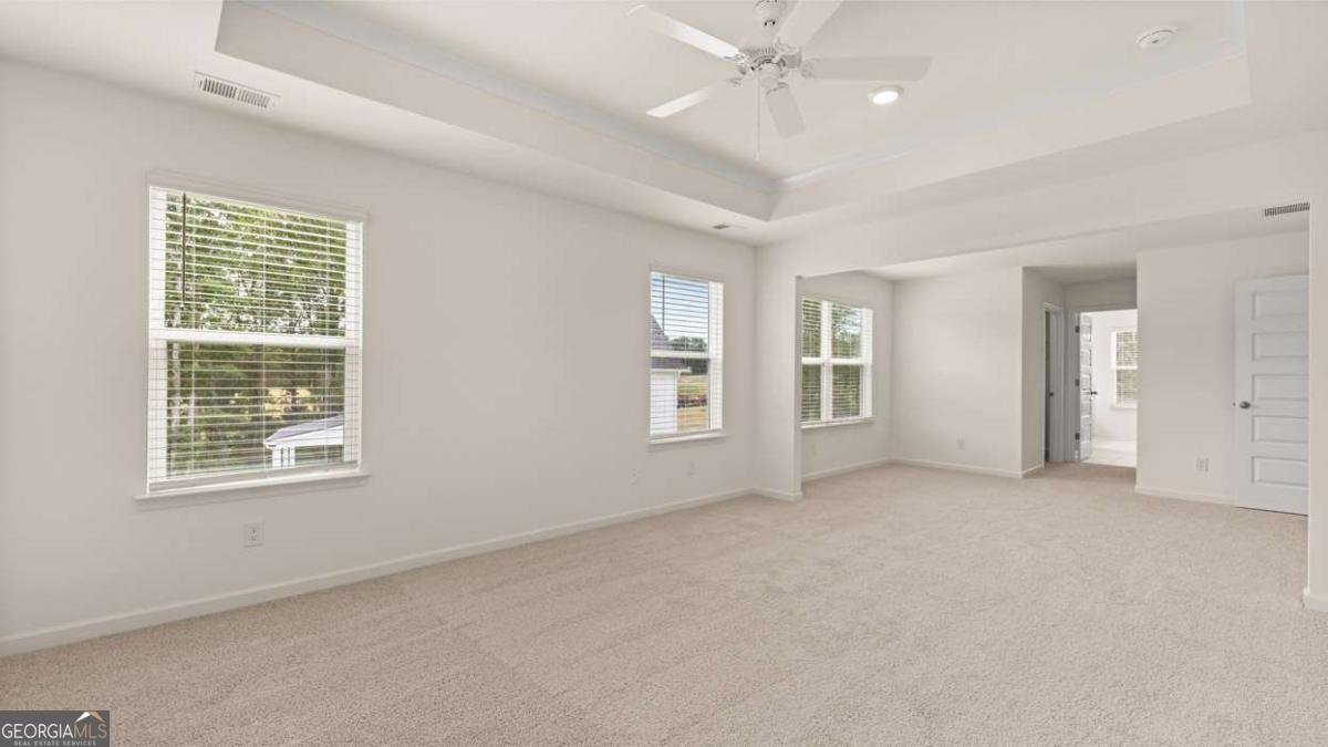 2898 Eucalyptus Road Loganville - Photo 35