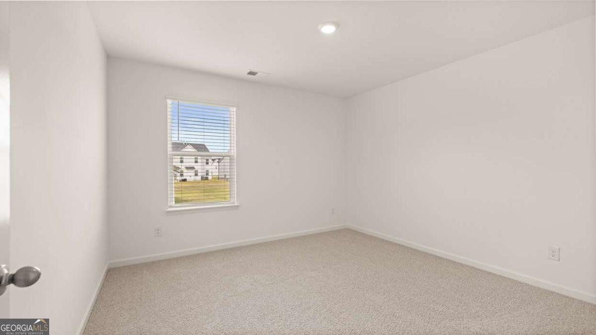 2898 Eucalyptus Road Loganville - Photo 43