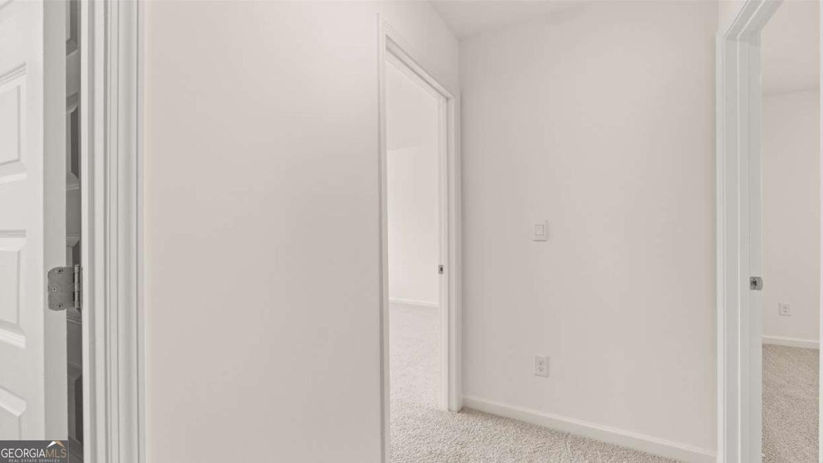 2898 Eucalyptus Road Loganville - Photo 45