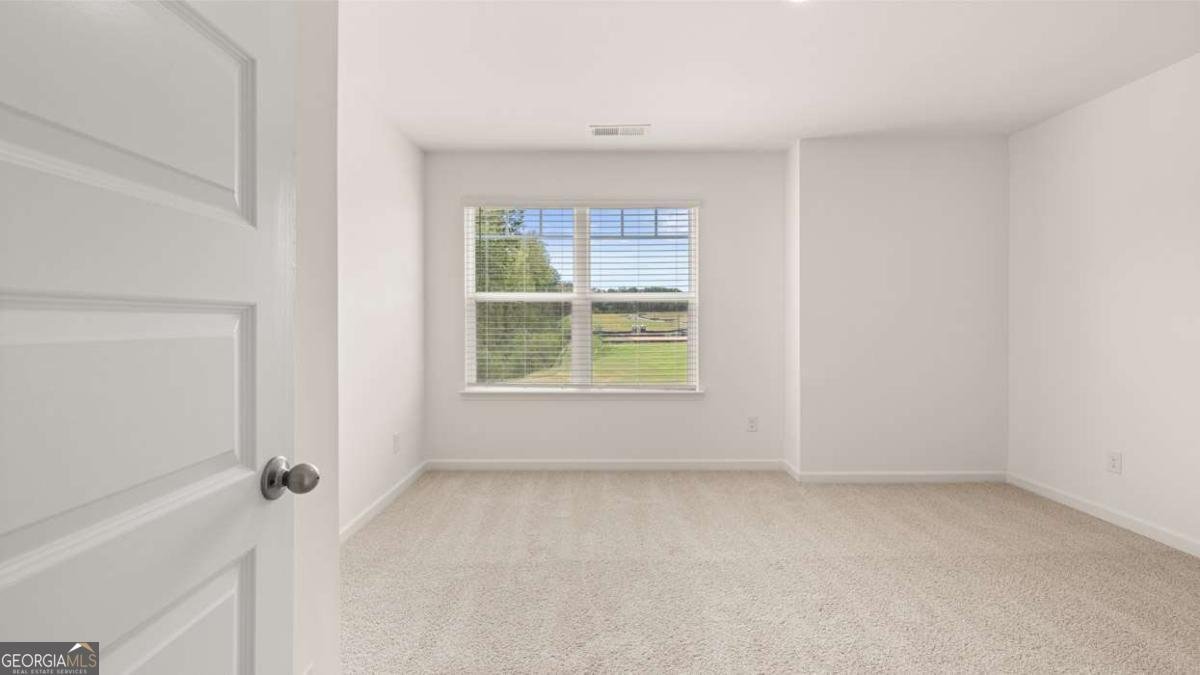 2898 Eucalyptus Road Loganville - Photo 49