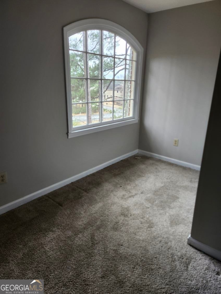 115 JASPER Drive Stockbridge - Photo 18