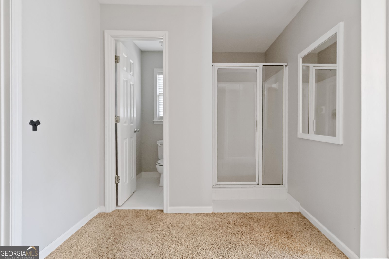 3659 Fowler Ridge Douglasville - Photo 17