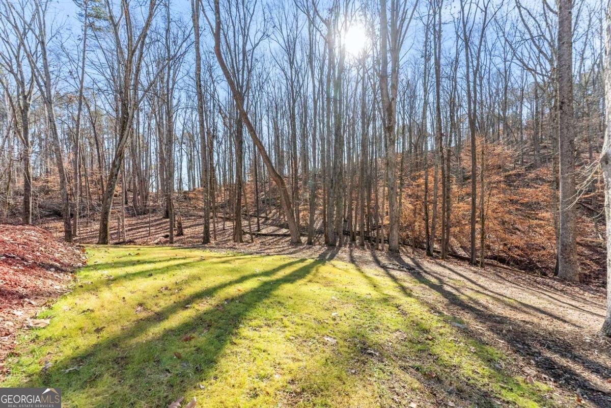 3523 Lighthouse Lane Gainesville - Photo 60