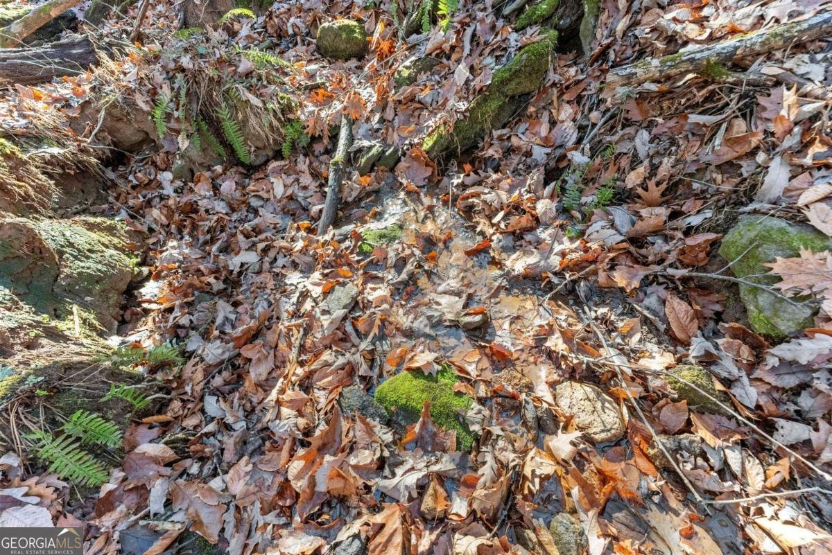 3523 Lighthouse Lane Gainesville - Photo 64