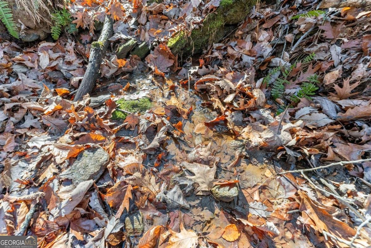 3523 Lighthouse Lane Gainesville - Photo 65