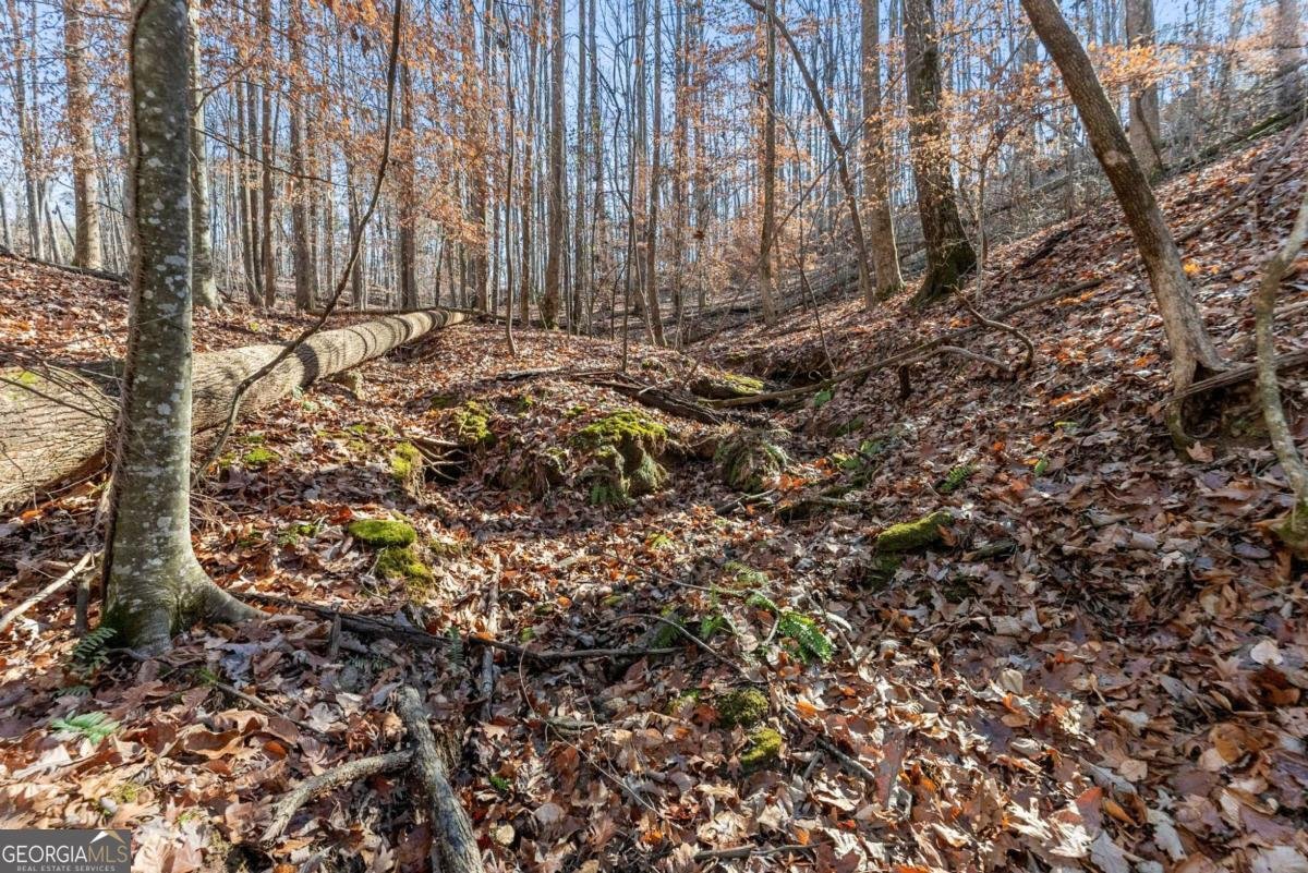 3523 Lighthouse Lane Gainesville - Photo 66