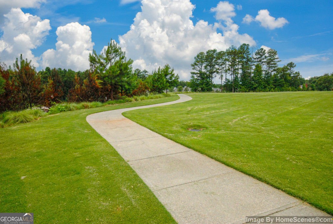 1025 Boxwood Lane Canton - Photo 101