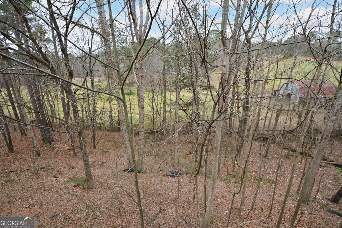 1025 Boxwood Lane Canton - Photo 63