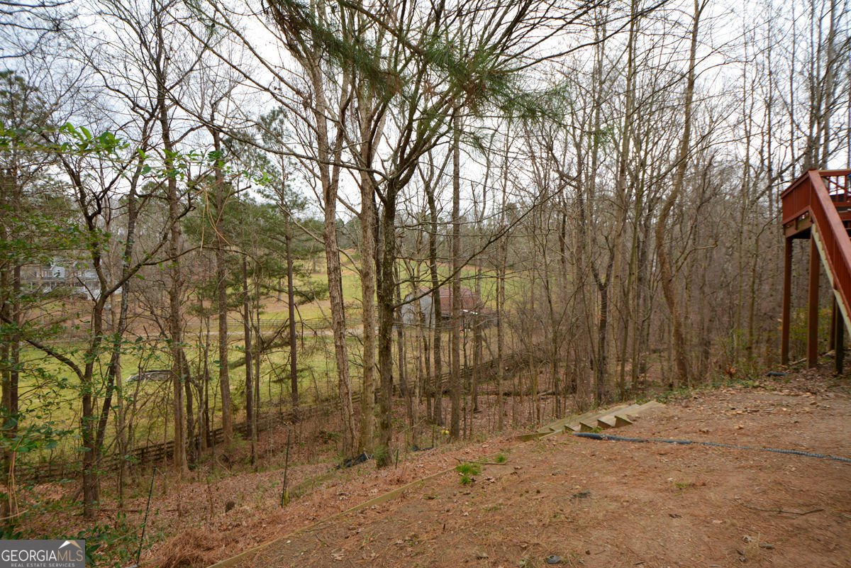 1025 Boxwood Lane Canton - Photo 64