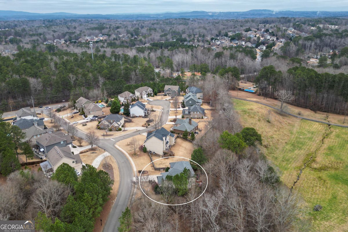 1025 Boxwood Lane Canton - Photo 73