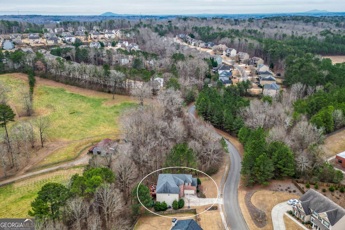 1025 Boxwood Lane Canton - Photo 75