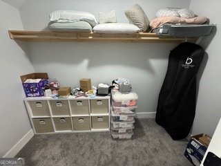 215 Walden Pond Trail Senoia - Photo 22