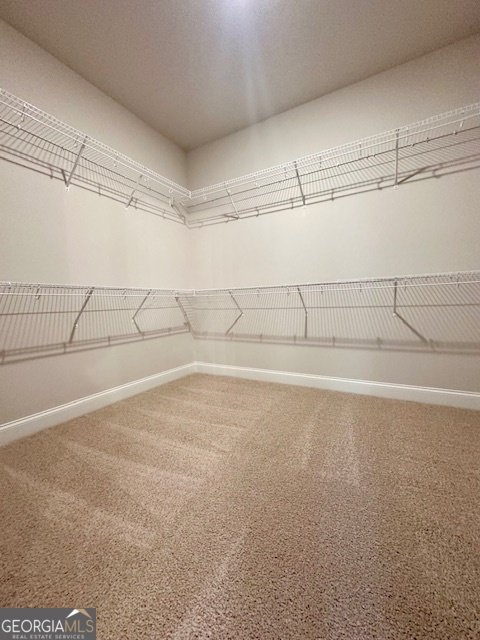 244 Deer Creek Run Moreland - Photo 16