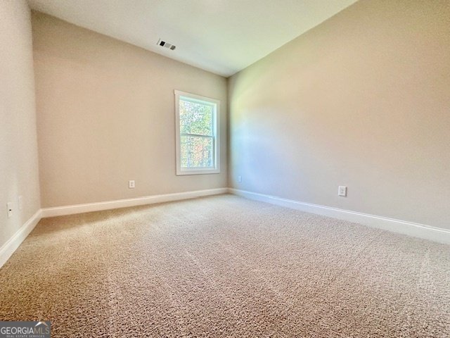 244 Deer Creek Run Moreland - Photo 19