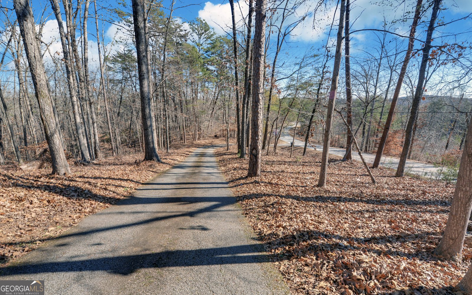 1889 Riverdale Road Toccoa - Photo 47