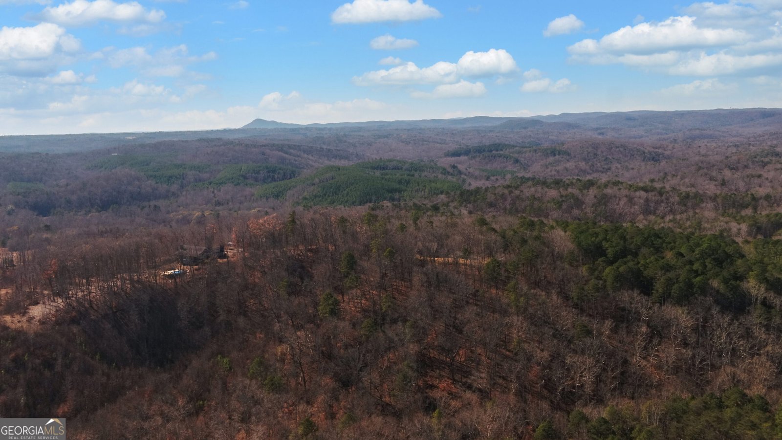1889 Riverdale Road Toccoa - Photo 54