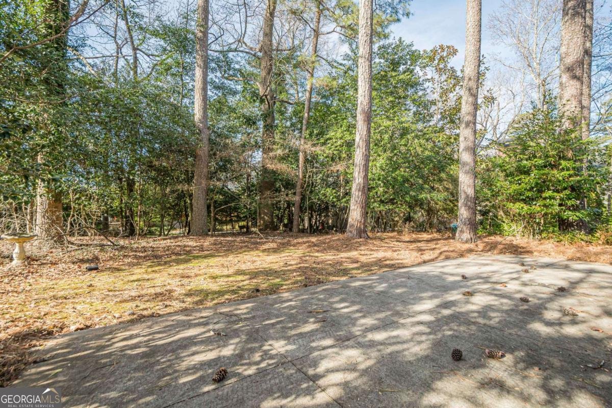 5640 Ball Mill Road Atlanta - Photo 77