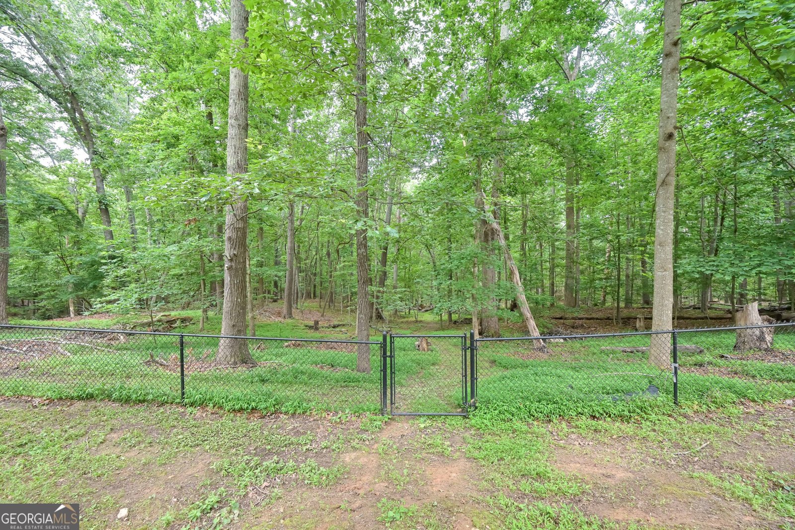 7533 Mason Falls Drive Winston - Photo 38