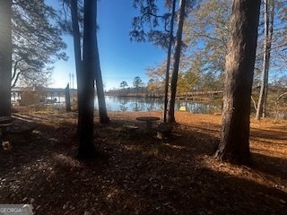 233 Begonia Road Sparta - Photo 24