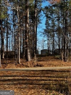 233 Begonia Road Sparta - Photo 26