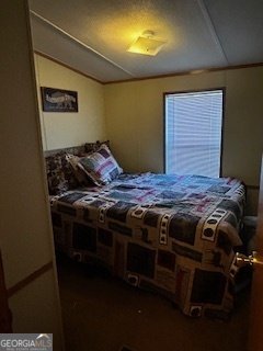 233 Begonia Road Sparta - Photo 7