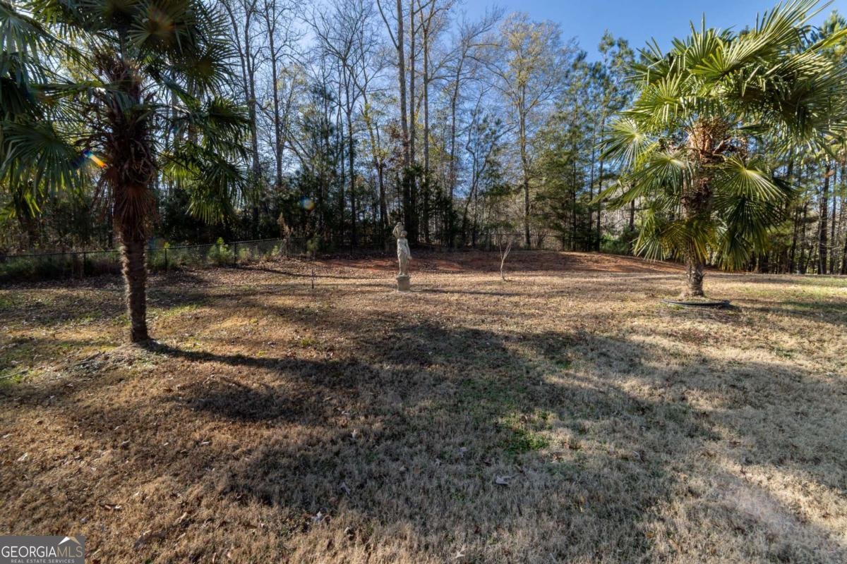 3135 Juhan Road Stone Mountain - Photo 50