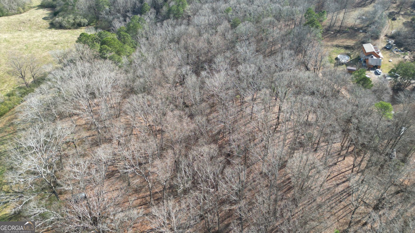 6267 Mount Pisgah Road Ellijay - Photo 25