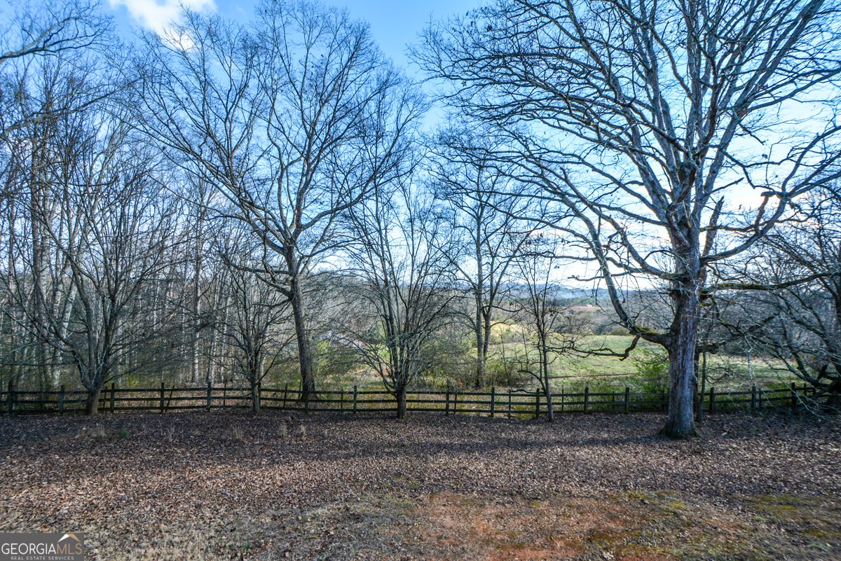 6267 Mount Pisgah Road Ellijay - Photo 40