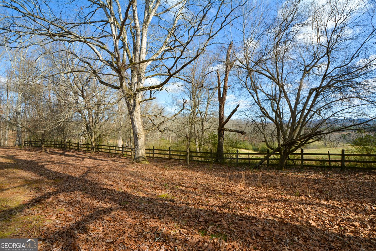 6267 Mount Pisgah Road Ellijay - Photo 43